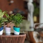 ATLANTIS PLANTERS