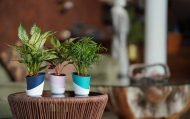 ATLANTIS PLANTERS