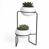 APEX HOLDER - Image 2