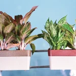 ARTY RECTANGLE ECO PLANTERS