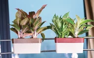 ARTY RECTANGLE ECO PLANTERS
