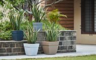 BARCA SQUARE PLANTERS - Image 2