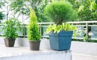 BARCA SQUARE PLANTERS