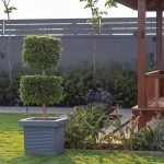 CUBO PLANTERS