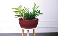 GENEVA ECO PLANTERS - Image 2