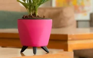 LAGOS PLANTERS - Image 4