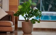 MILANO SHORT PLANTERS - Image 2