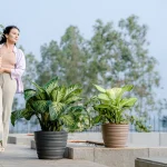 PHOENIX PLANTERS