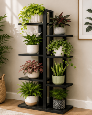 SPROUT STEP - Image 2