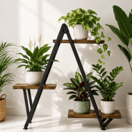 STAND UP & GROW - Image 2