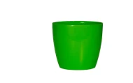 VALENCIA PLANTERS - Image 9