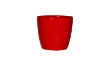 VALENCIA PLANTERS - Image 10