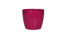 VALENCIA PLANTERS - Image 11