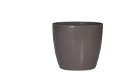 VALENCIA PLANTERS - Image 7
