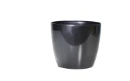 VALENCIA PLANTERS - Image 5