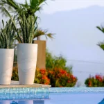 VENICE NEW FINISH PLANTERS