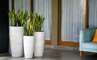 VENICE NEW FINISH PLANTERS - Image 2