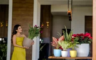 VERONA PLANTERS