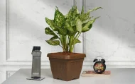 BELLO SQUARE ECO PLANTERS - Image 2