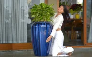 CASO PLANTERS - Image 2