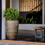 CASO PLANTERS