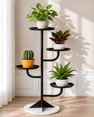 ECO ELEVATE - Image 2