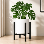FLORA FRAME