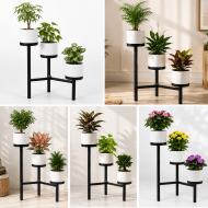 GROW STATION - Image 2