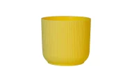 IBIZA PLANTERS - Image 3