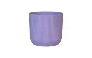 IBIZA PLANTERS - Image 5