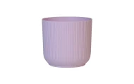 IBIZA PLANTERS - Image 6