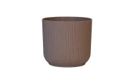 IBIZA PLANTERS - Image 7