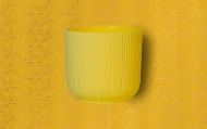 IBIZA PLANTERS - Image 2