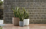 MILANO SHORT PLANTERS