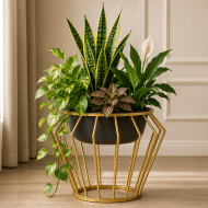 SUNBEAM CAGE - Image 2