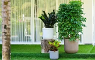 TOKYO SHORT ILLUMINATED ROUND PLANTERS