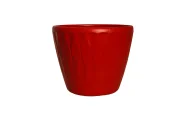 TUNIS PLANTERS - Image 5