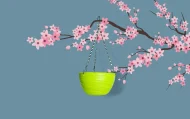 VICTORIA HANGING BASKET