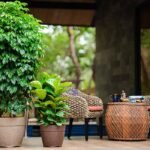 BARCA ROUND PLANTERS