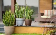 BARCA ROUND PLANTERS - Image 2